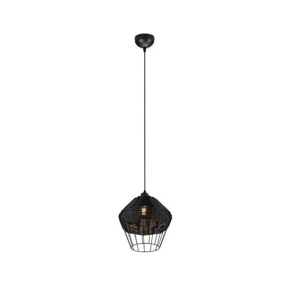 Trio R31261902 BORKA 1 ágú függeszték lámpa