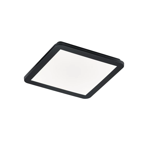 Trio R62931832 CAMILLUS mennyezeti LED lámpa