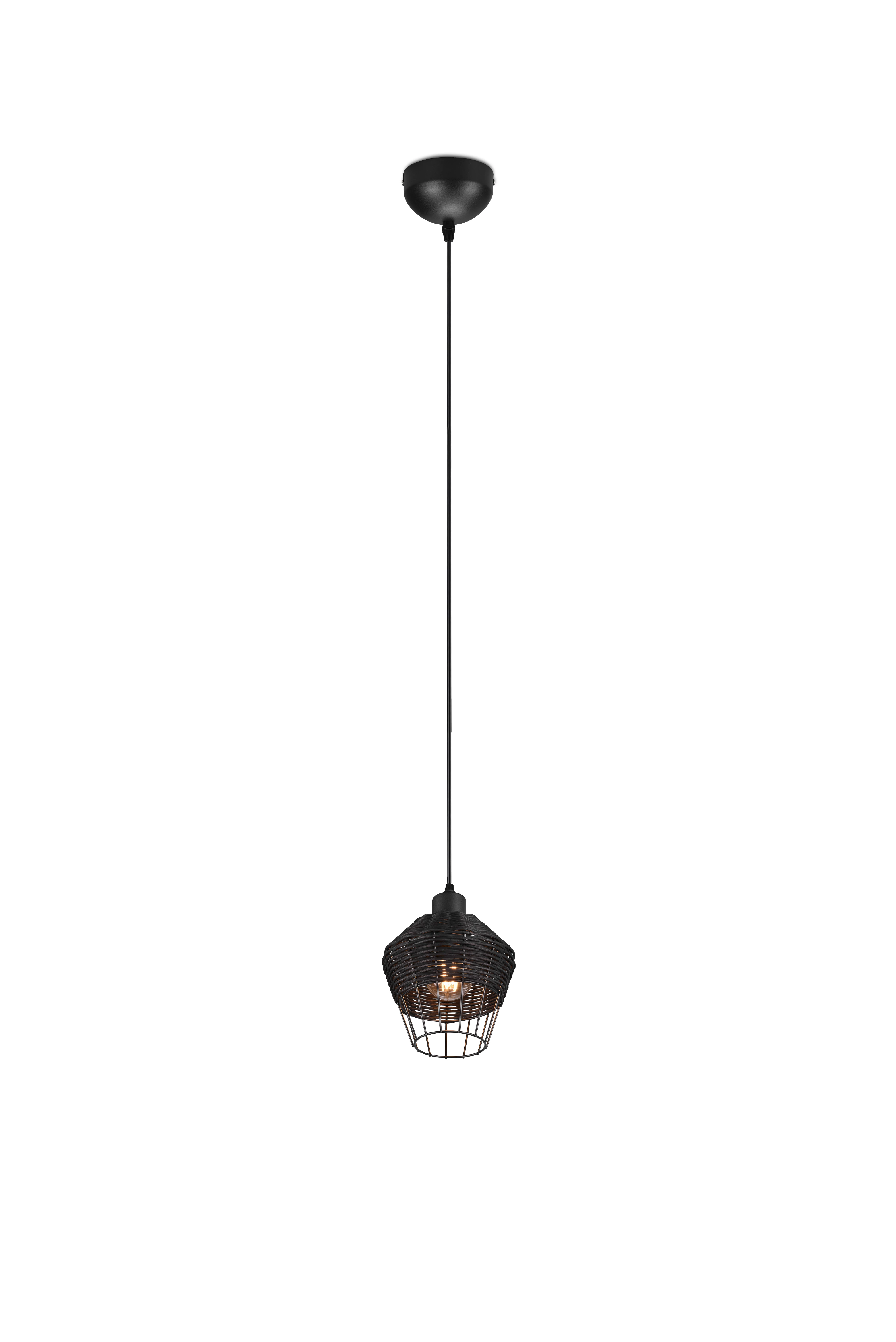 Trio R31261002 BORKA 1 ágú függeszték lámpa