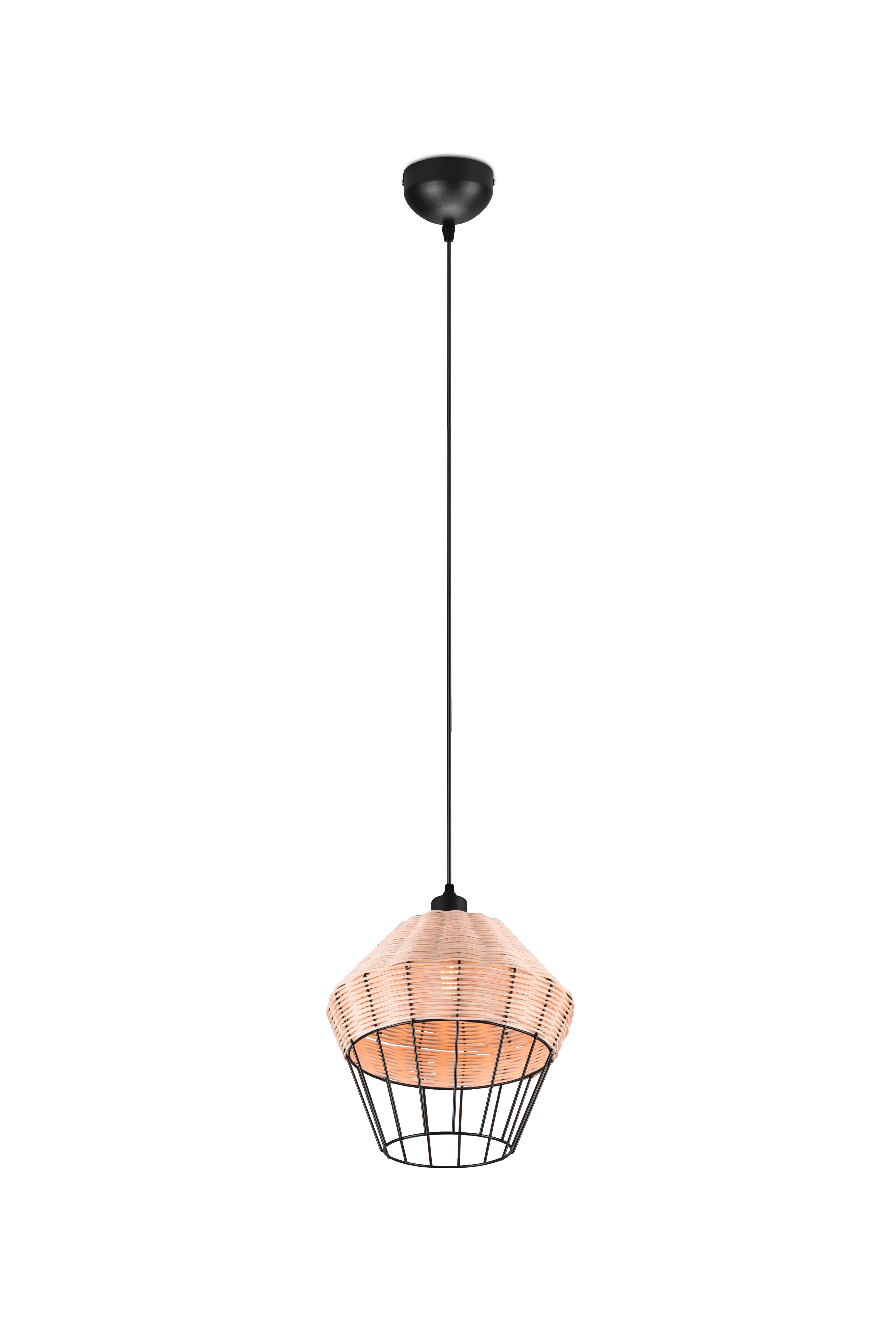 Trio R31261936 BORKA 1 ágú függeszték lámpa