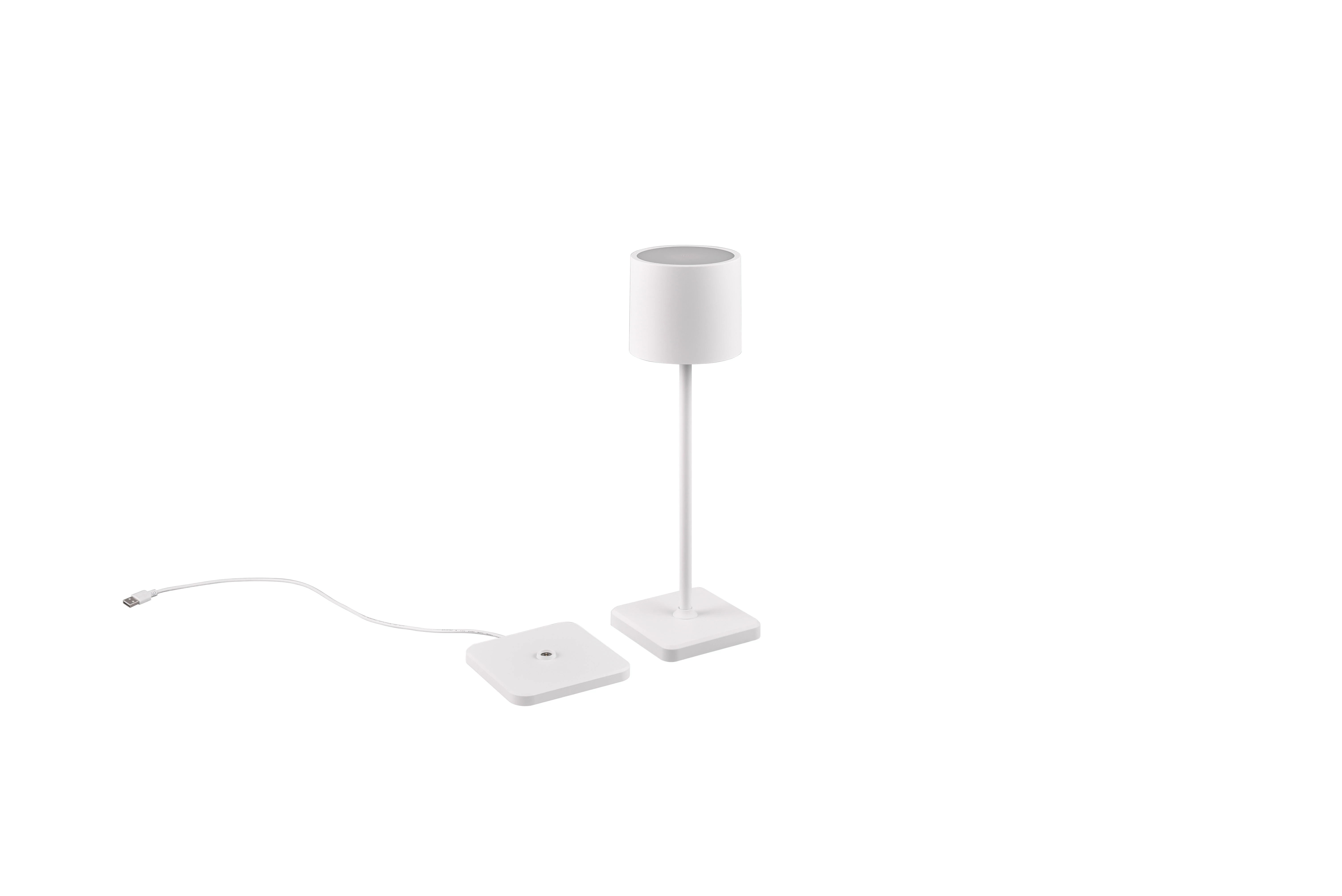 Trio R54096131 FERNANDEZ kültéri dekorációs LED lámpa