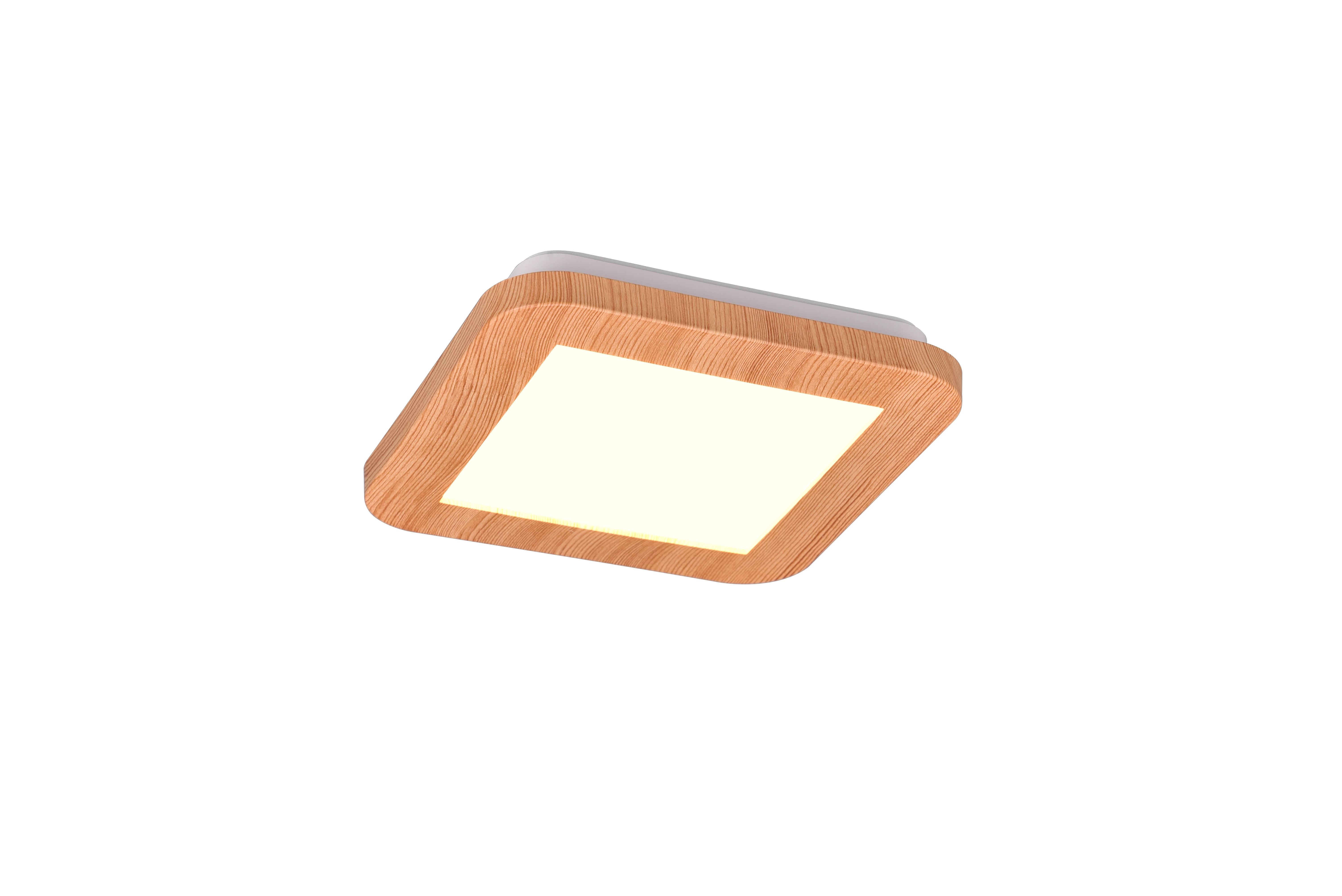 Trio R62931035 CAMILLUS mennyezeti LED lámpa